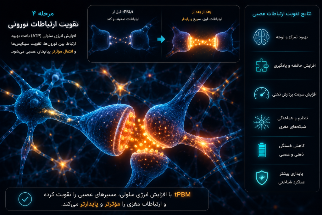 افزایش تولید ATP و انرژی سلولی مغز با نور مادون قرمز tPBM