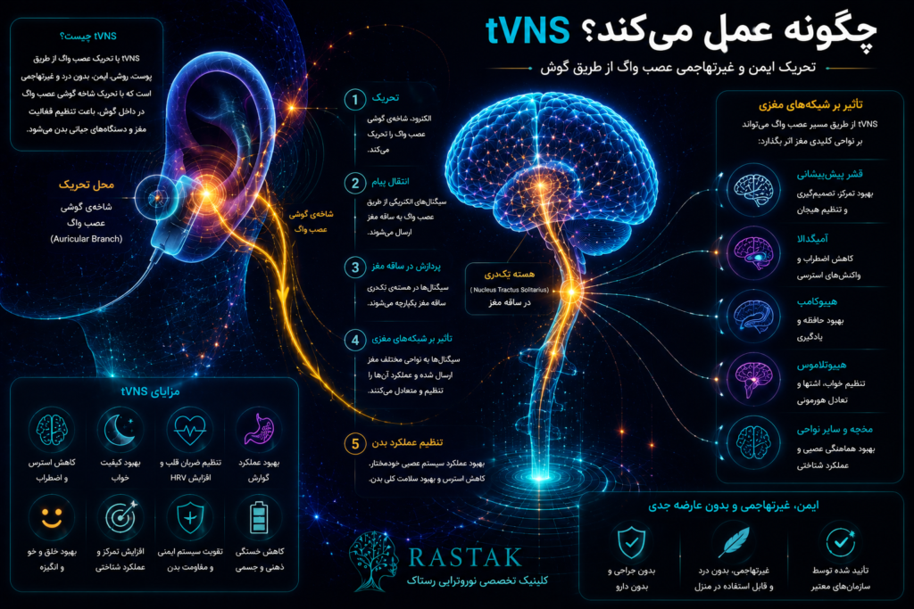 اینفوگرافیک مکانیسم عملکرد تحریک عصب واگ tVNS از شاخه گوشی عصب واگ تا ساقه مغز و شبکه های عصبی مرتبط با استرس، خواب، حافظه و تمرکز
