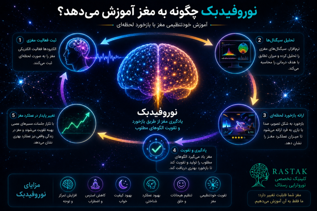 اینفوگرافیک علمی فرایند نوروفیدبک شامل ثبت امواج مغزی، تحلیل سیگنال ها، بازخورد لحظه ای، یادگیری مغز و بهبود خودتنظیمی عصبی