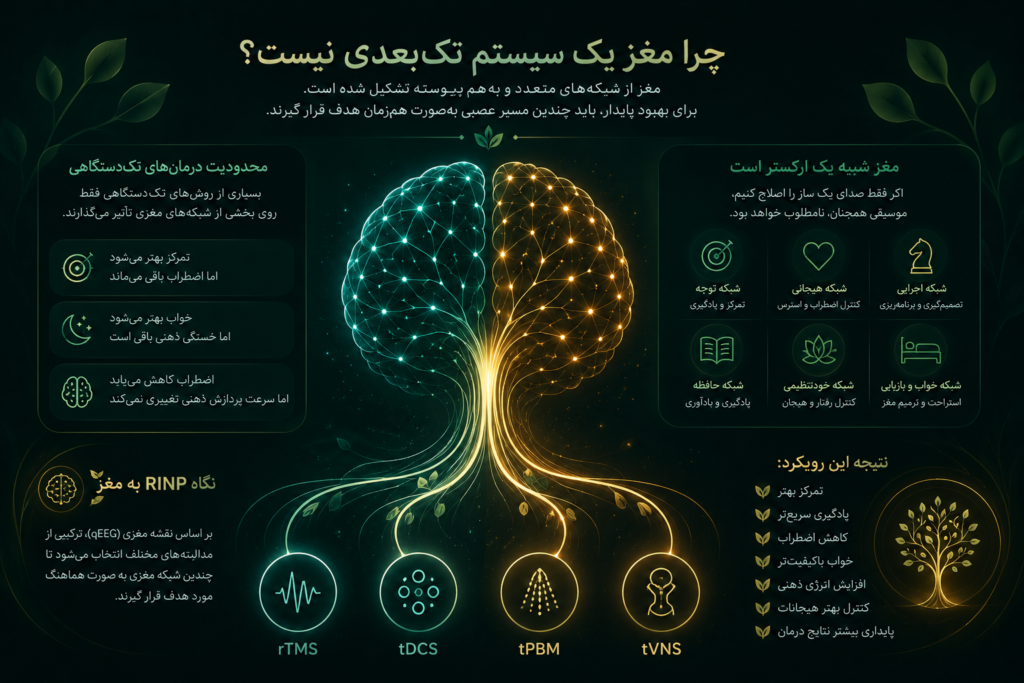 چرا مغز یک سیستم تک‌بعدی نیست و نقش RINP در هدف‌گیری چند شبکه مغزی
