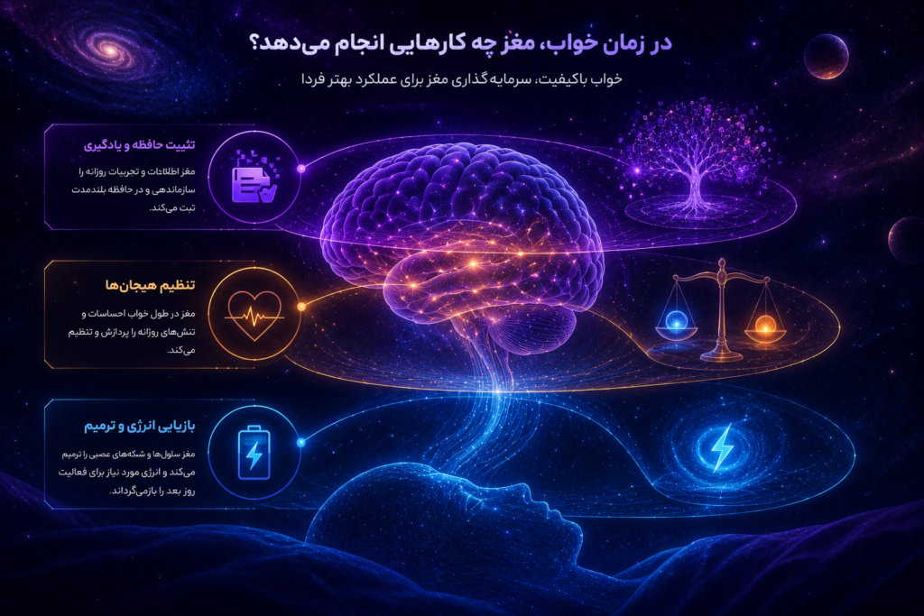 تصویر انتزاعی مغز در فضای کهکشانی که فرایندهای تثبیت حافظه، تنظیم هیجان‌ها و بازیابی انرژی ذهنی را در زمان خواب نشان می‌دهد