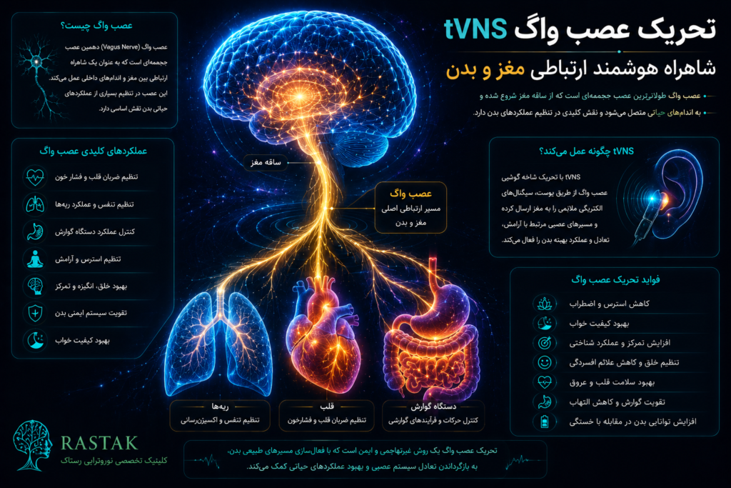 تصویر مسیر عصب واگ از مغز به قلب، ریه ها و دستگاه گوارش و نقش تحریک عصب واگ tVNS در ارتباط مغز و بدن