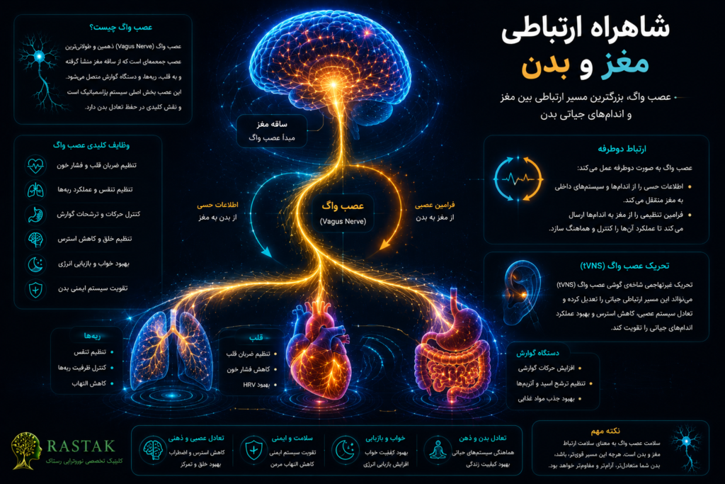 اینفوگرافیک عصب واگ به عنوان شاهراه ارتباطی مغز و بدن با نمایش ارتباط مغز، قلب، ریه ها و دستگاه گوارش و نقش تحریک عصب واگ tVNS
